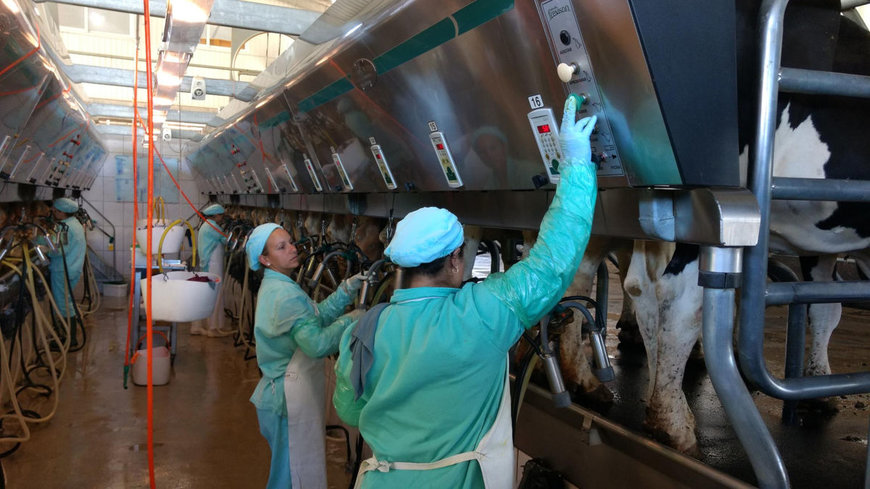 Sustainably produced milk with guaranteed origin